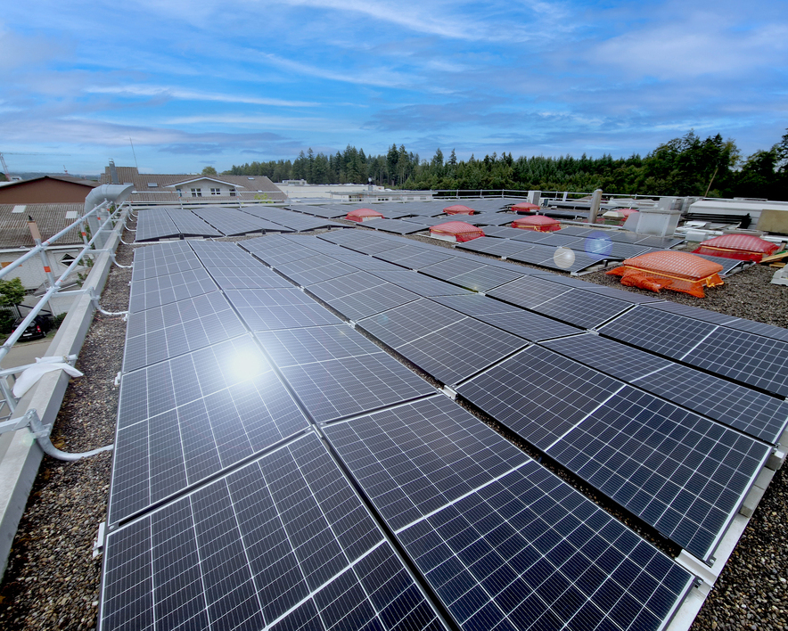 Sonnige Aussichten – nachhaltige Energie dank PV-Anlage